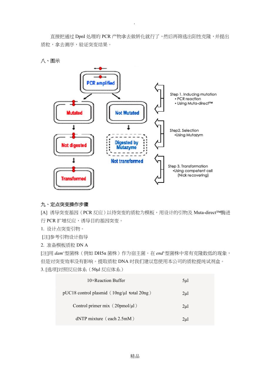 基因定点突变全攻略_第3页