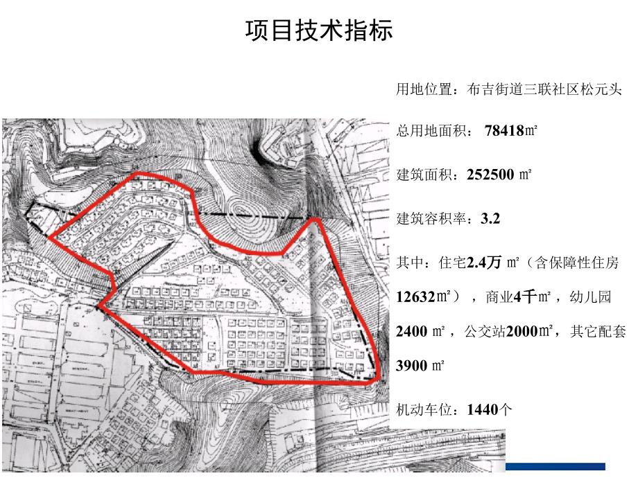 深圳布吉三联松源头项目定位策划报告88p_第3页