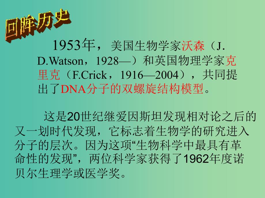 高中生物 3.2 DNA分子的结构课件 新人教版必修2.ppt_第2页