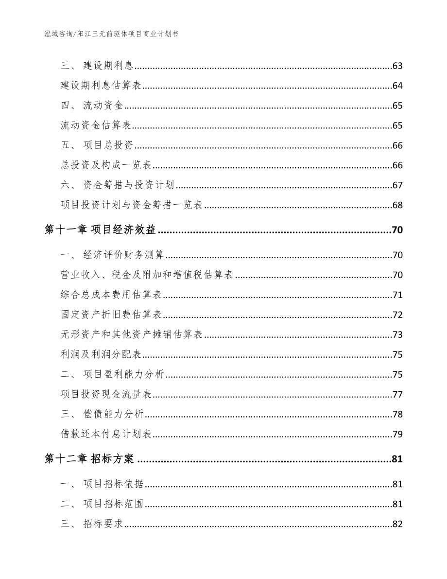 阳江三元前驱体项目商业计划书【范文】_第5页