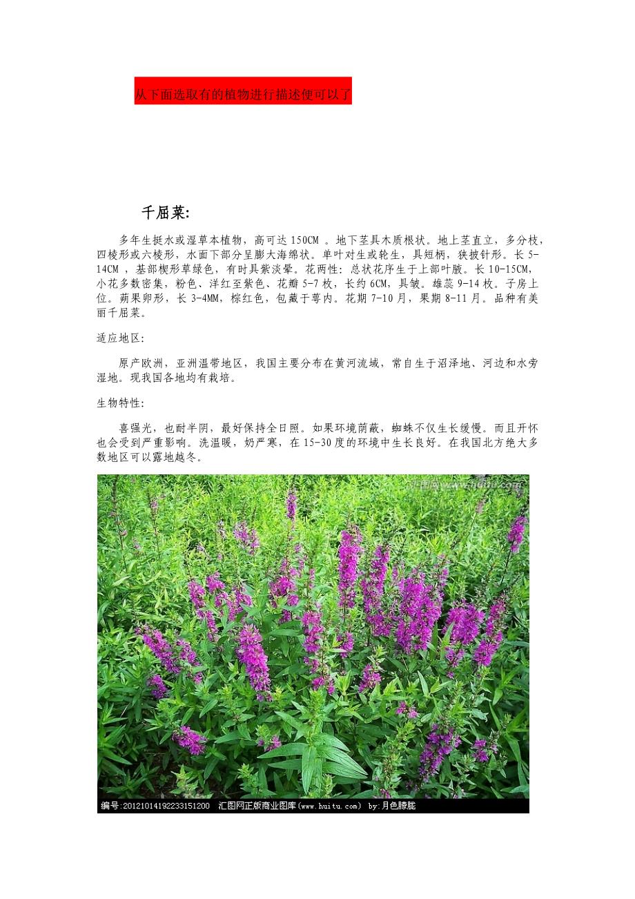 园林绿化工程水生植物和花卉种植施工工艺_第3页