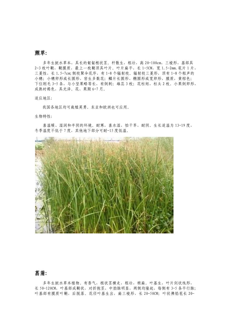 园林绿化工程水生植物和花卉种植施工工艺_第4页