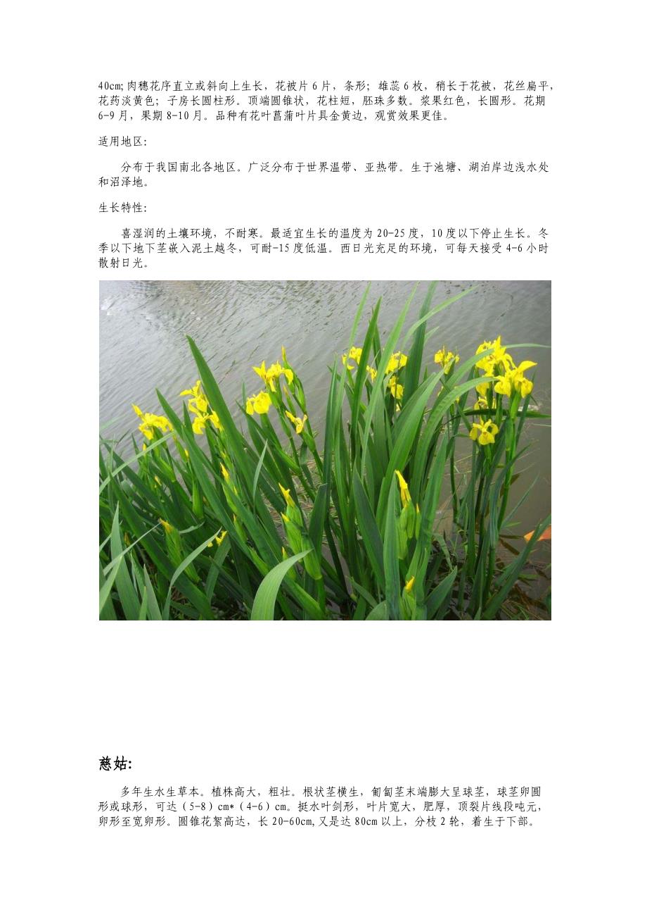 园林绿化工程水生植物和花卉种植施工工艺_第5页