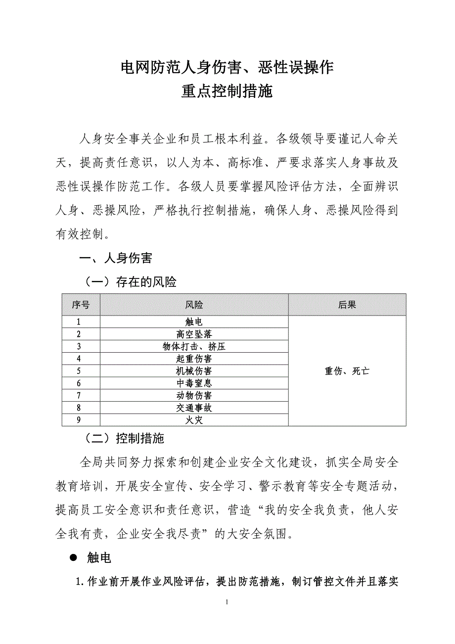 电网防范人身伤害、恶性误操作重点控制措施(精品)_第1页