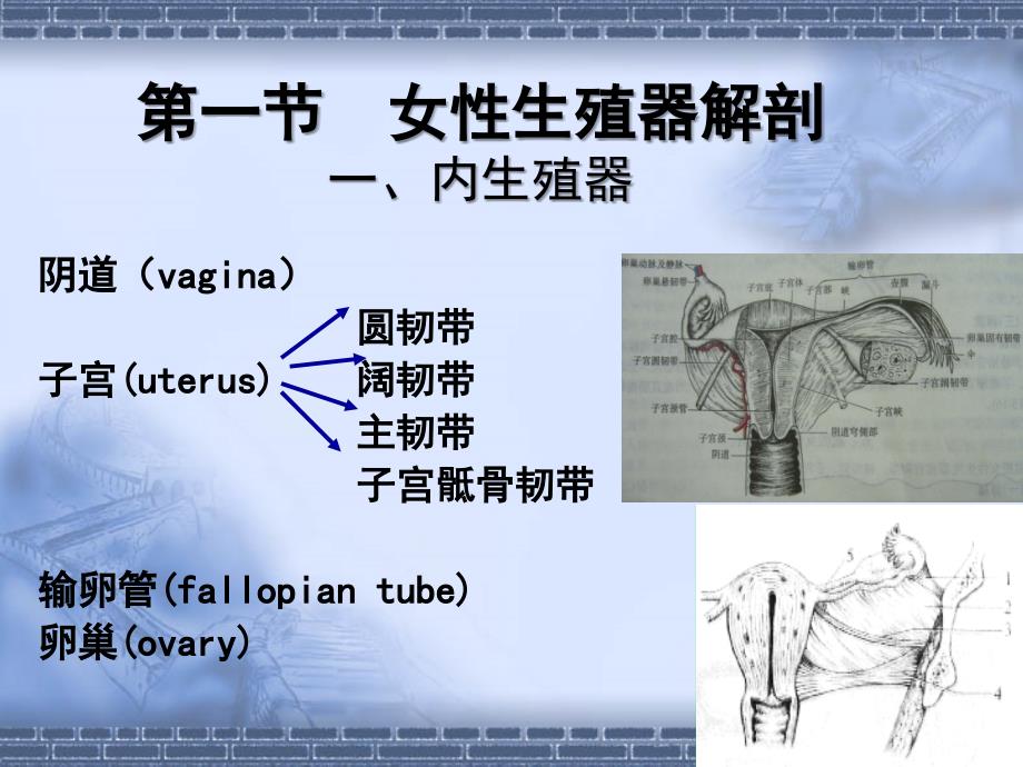 妇产科手术配合_第2页