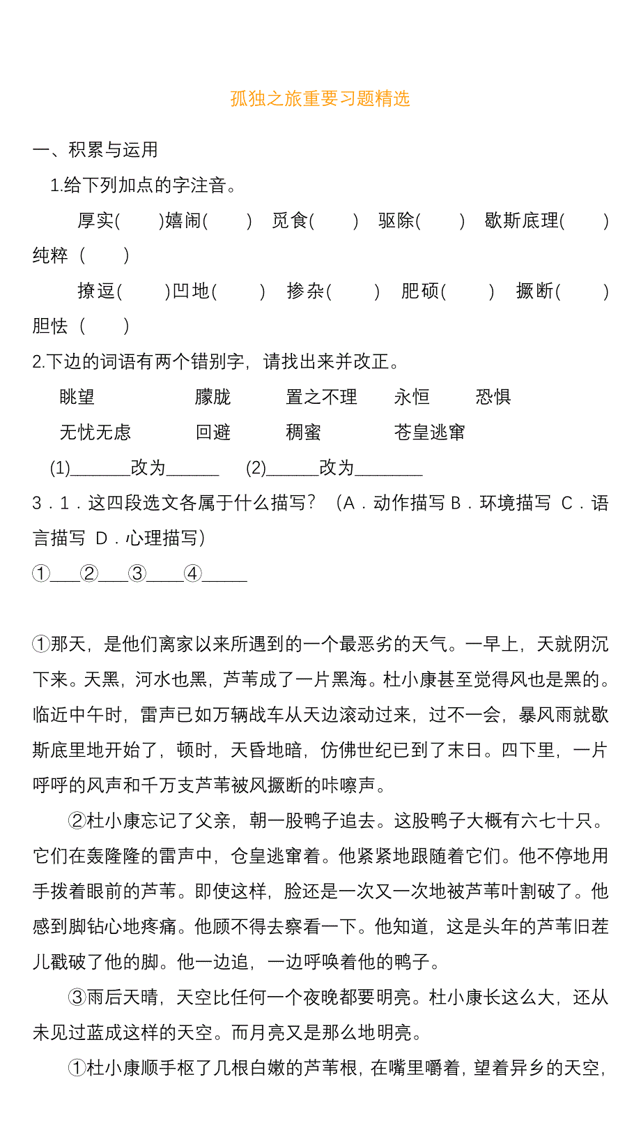 中考《孤独之旅》重要习题精选_第1页