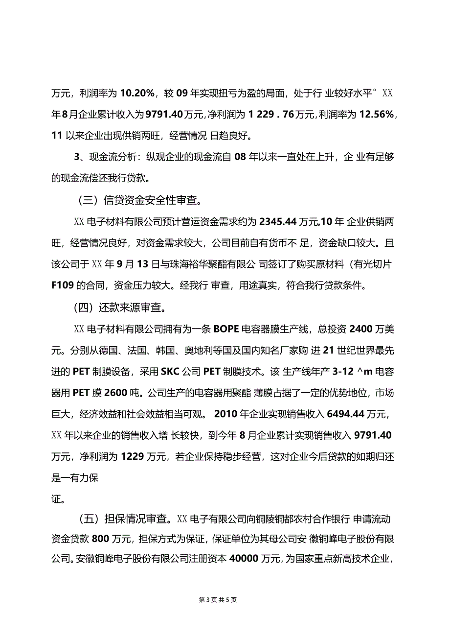 银行ⅩⅩ公司申请流动资金贷款授信的审查报告_第3页