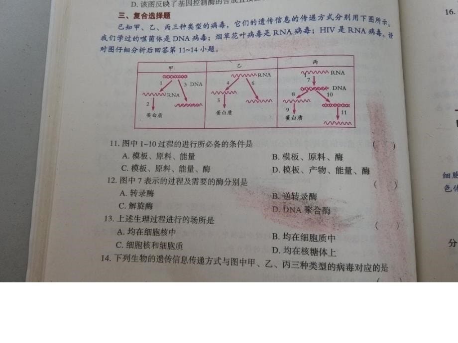 遗传信息的翻译部分_第5页