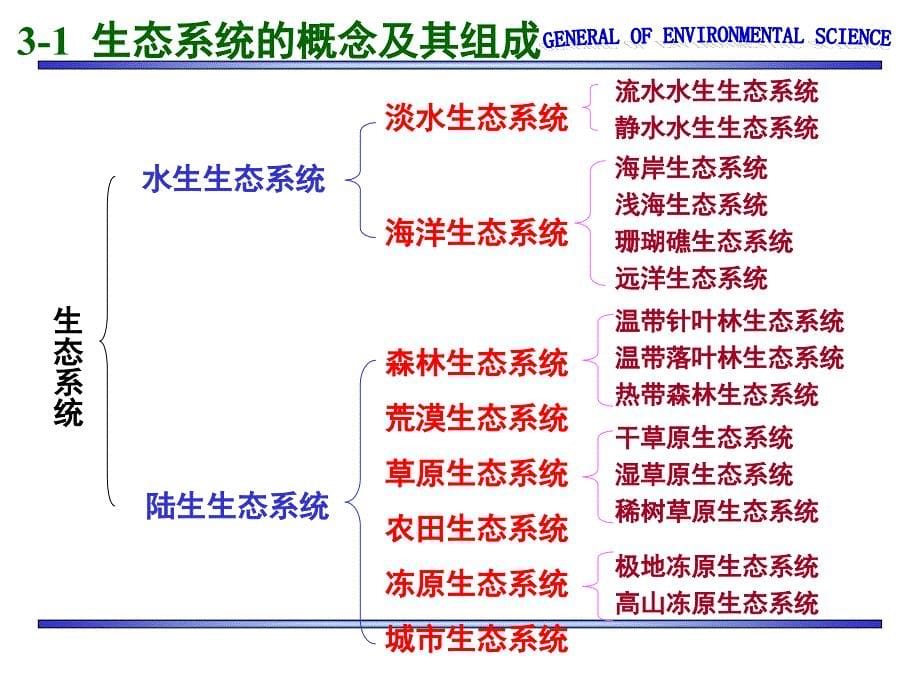 环境科学概论课件：第3讲 生态系统_第5页