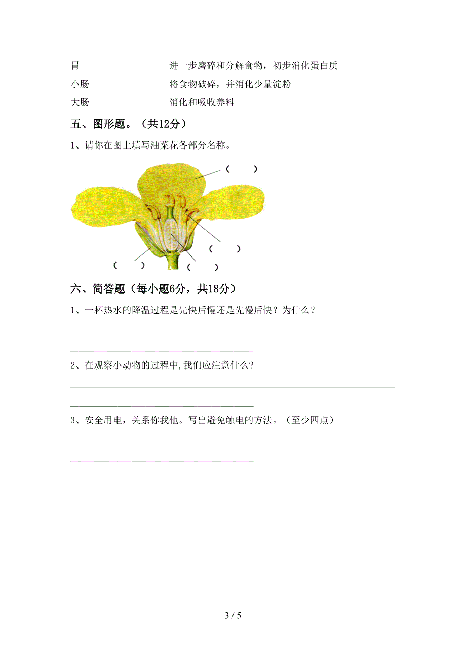 最新教科版四年级科学上册期末考试(一套).doc_第3页