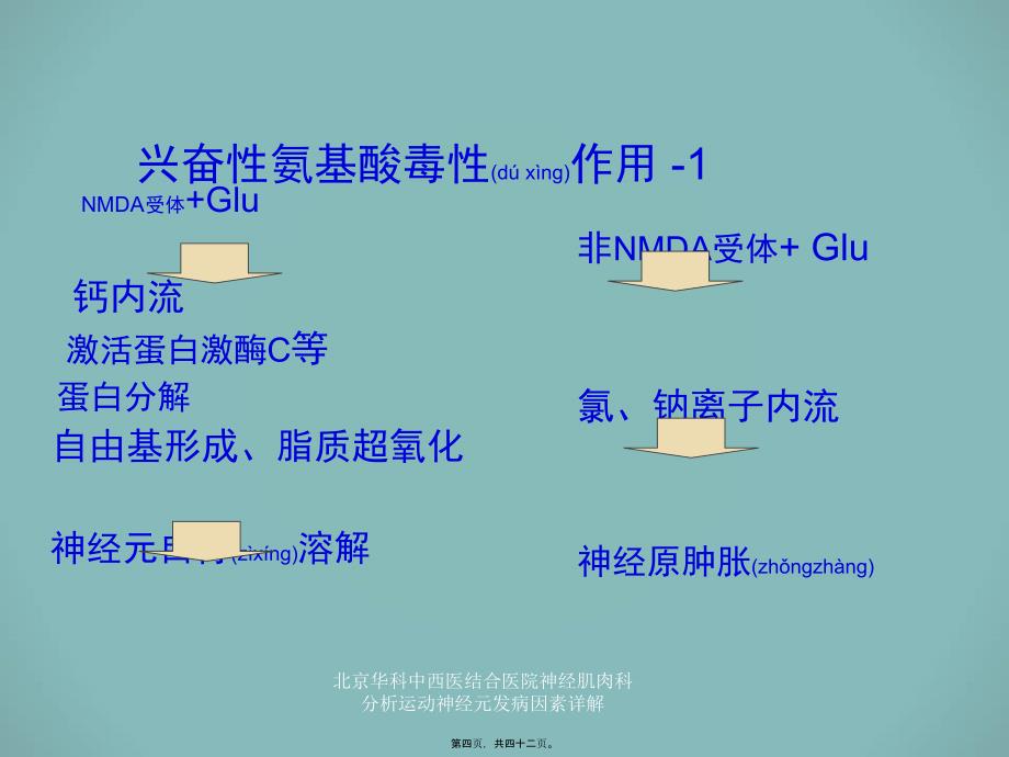 北京华科中西医结合医院神经肌肉科分析运动神经元发病因素详解课件_第4页