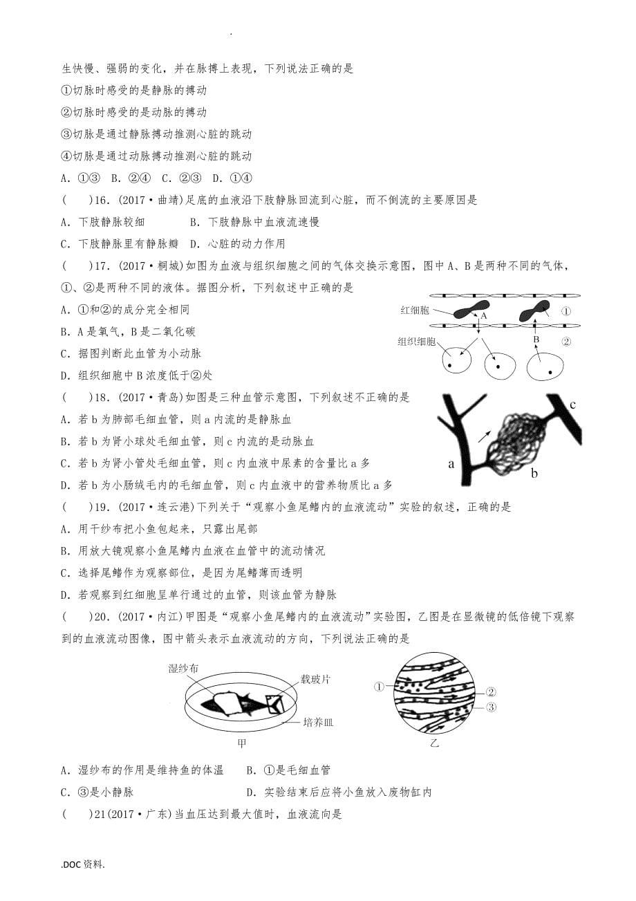 广东中山市2019届中考生物专题复习第四单元生物圈中的人第四章人体内物质的运输_第5页