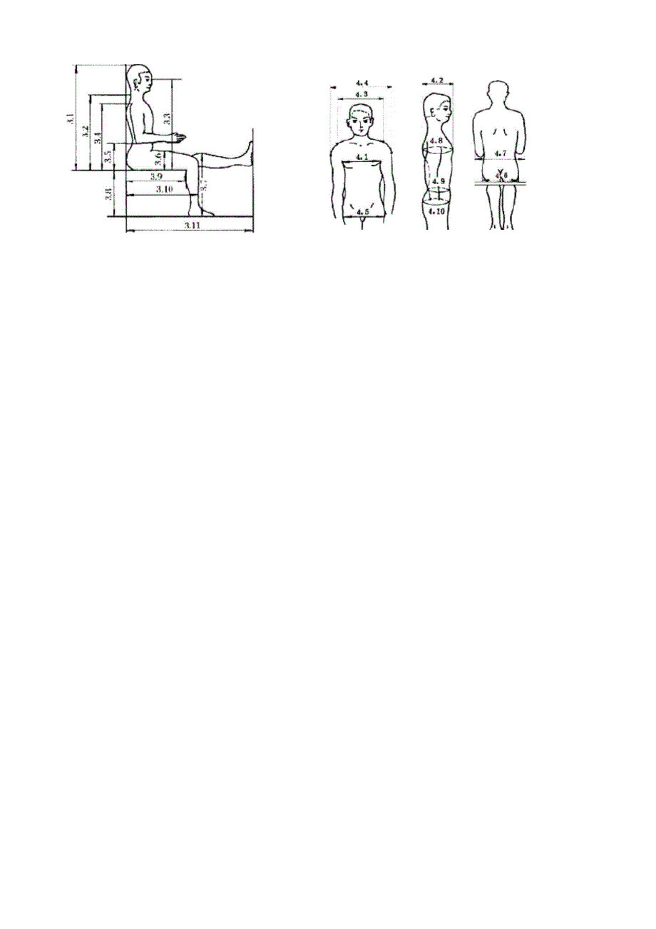 主要人体尺寸数据_第4页