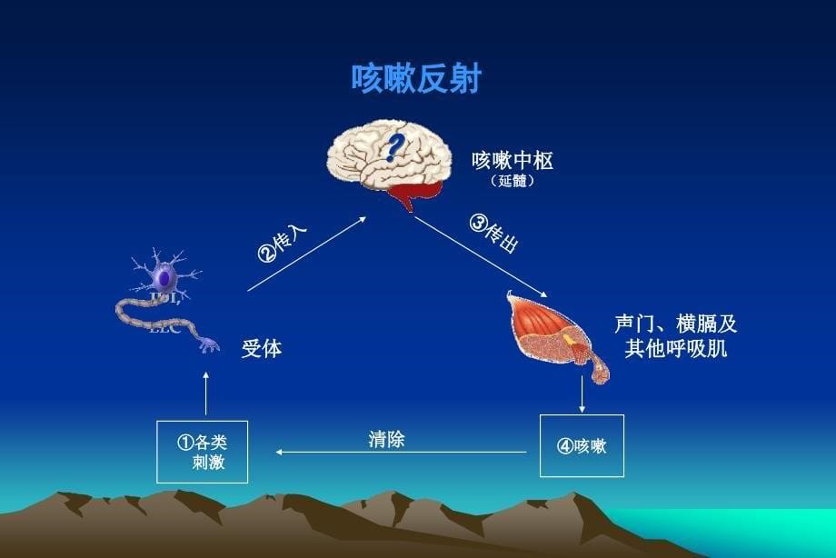 咳嗽是病吗？？？_第5页