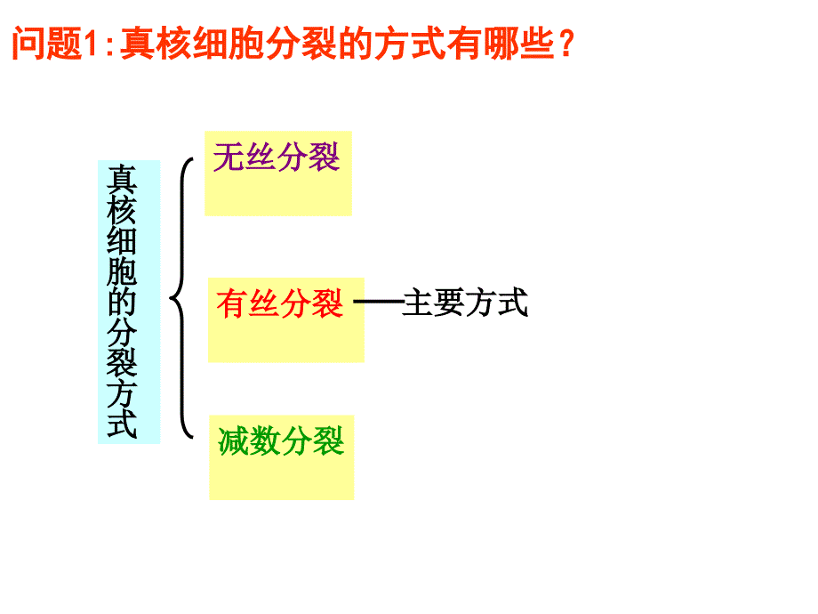 细胞分裂总复习演示图_第1页