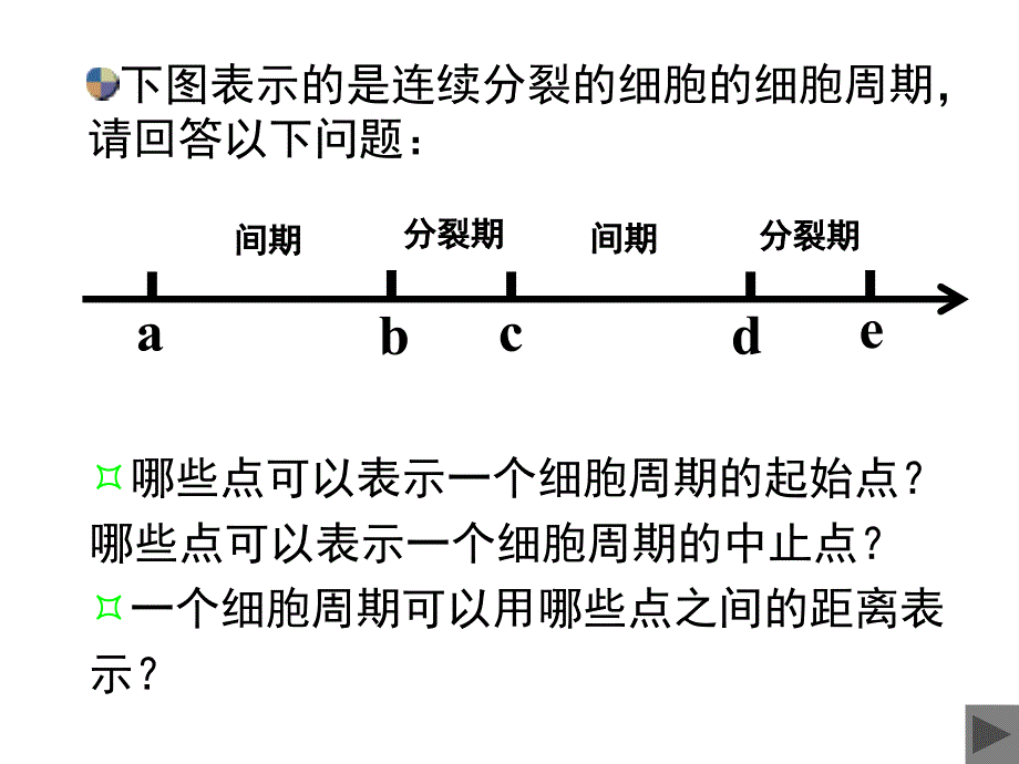 细胞分裂总复习演示图_第4页