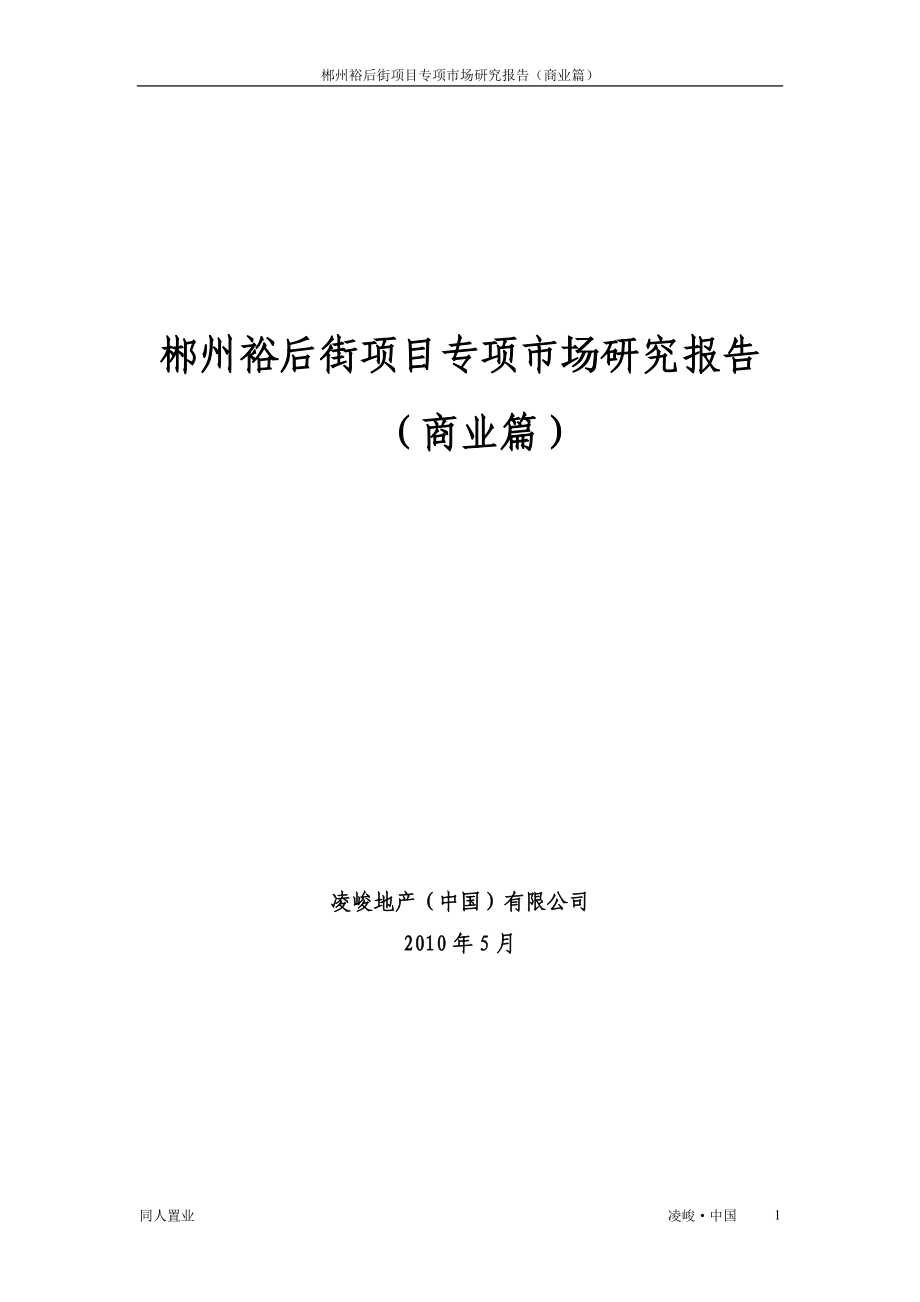 郴州裕后街项目专项市场研究报告_第1页