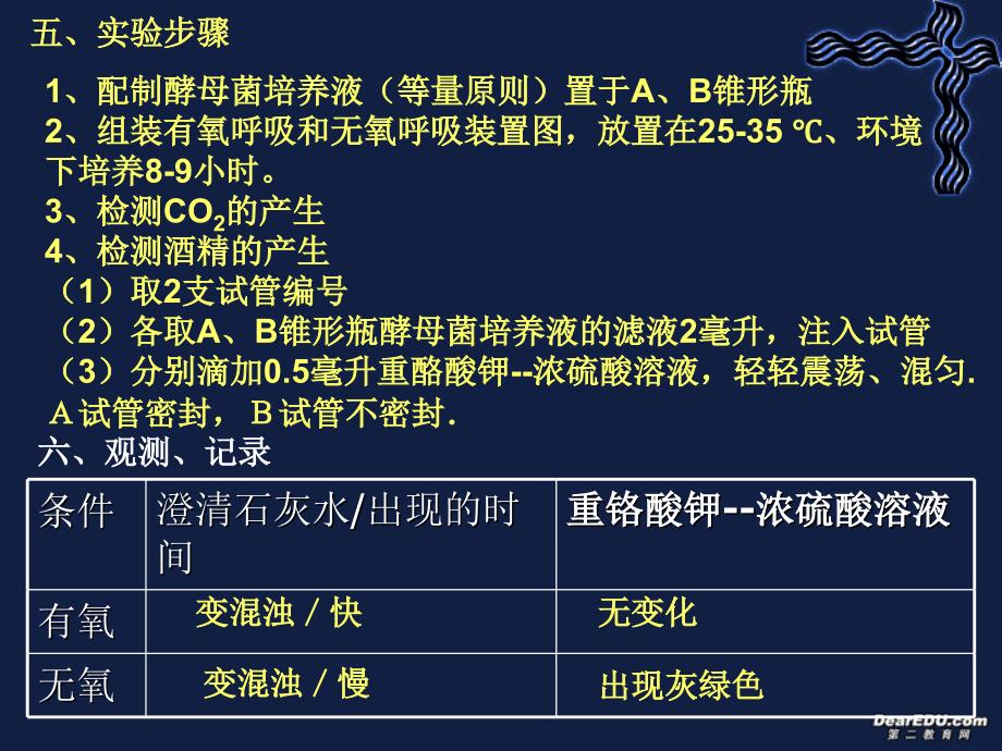 广东省高一生物ATP的主要来源细胞呼吸课件新课标人教版必修_第4页