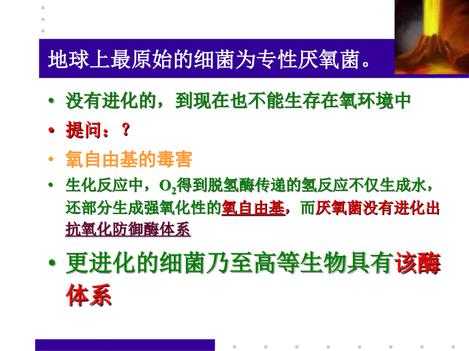 环境微生物学教学课件12产能代谢与呼吸_第3页