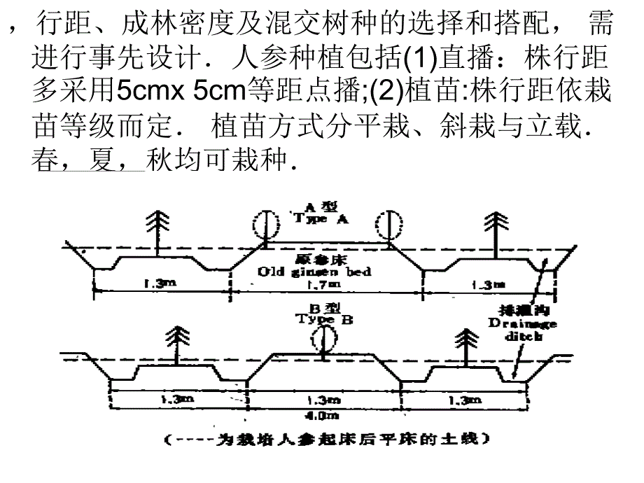 《家乡的农林复合类》PPT课件.ppt_第4页