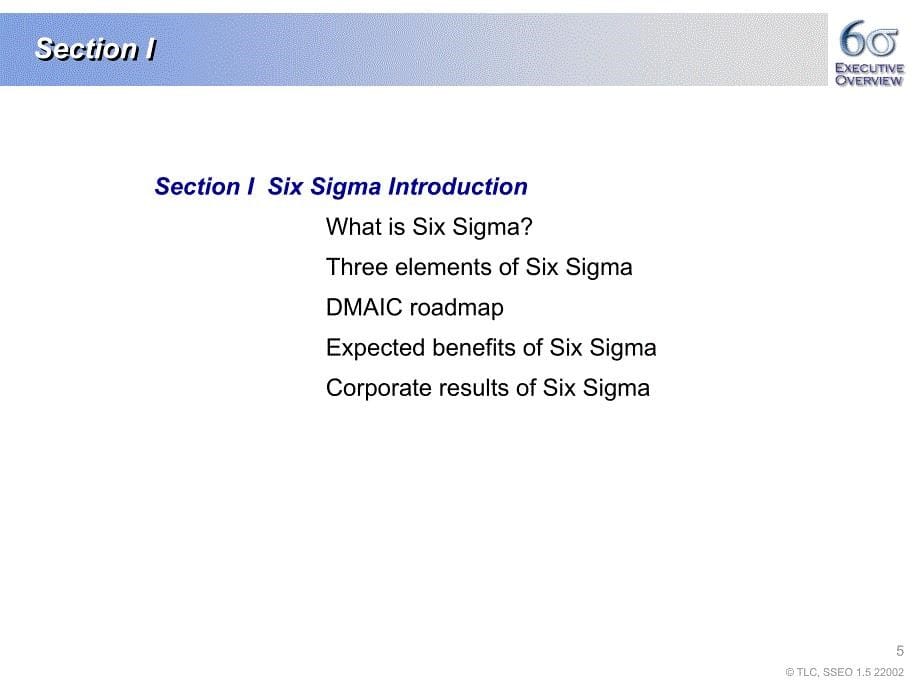 ASQSixSigmaExecutiveOverview110_第5页