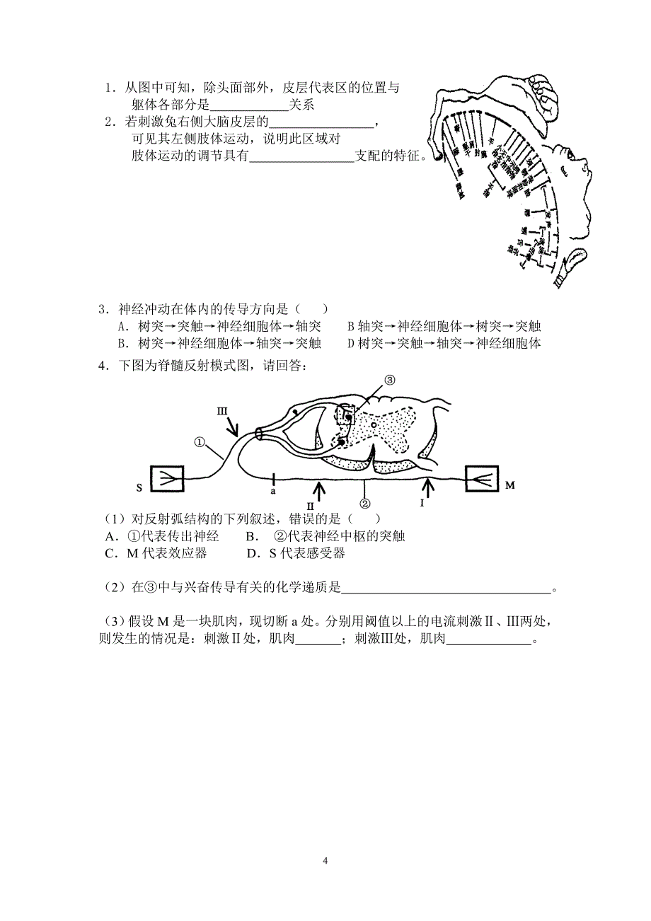 第四章 生命活动的调节 第二节 (2)神经调节.doc_第4页