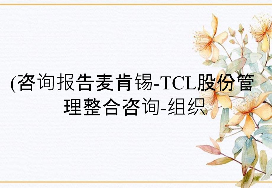 咨询报告麦肯锡TCL股份有限公司管理整合咨询组织_第1页