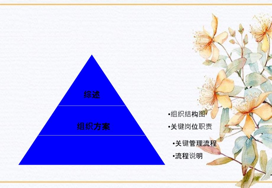 咨询报告麦肯锡TCL股份有限公司管理整合咨询组织_第2页