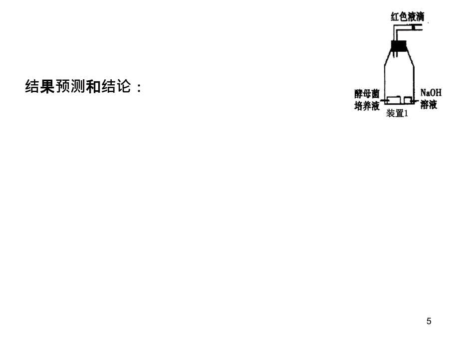 细胞呼吸典型例题_第5页