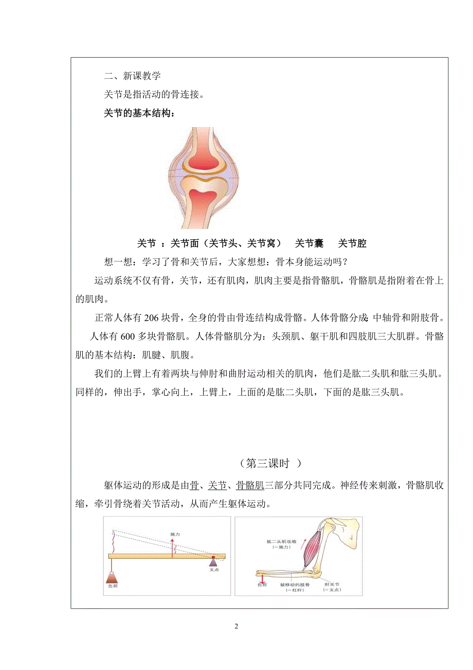 动物运动的形成2_第2页