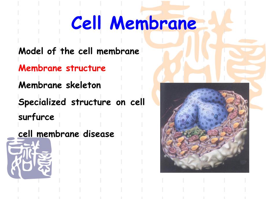 医学细胞生物学课件：2 Cell Membrane_第1页