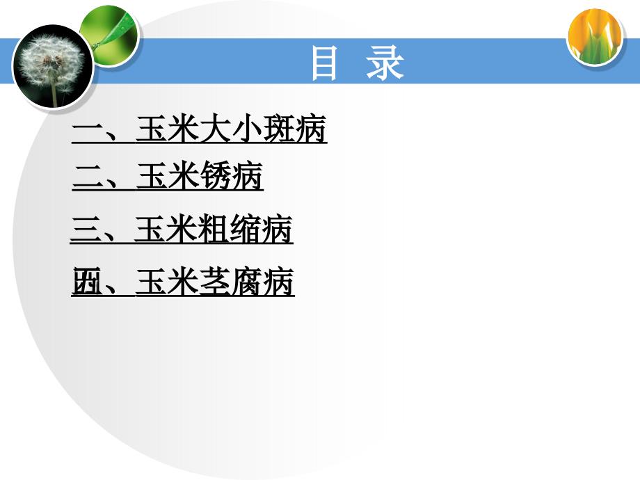 玉米主要病虫害及其防治课件_第2页