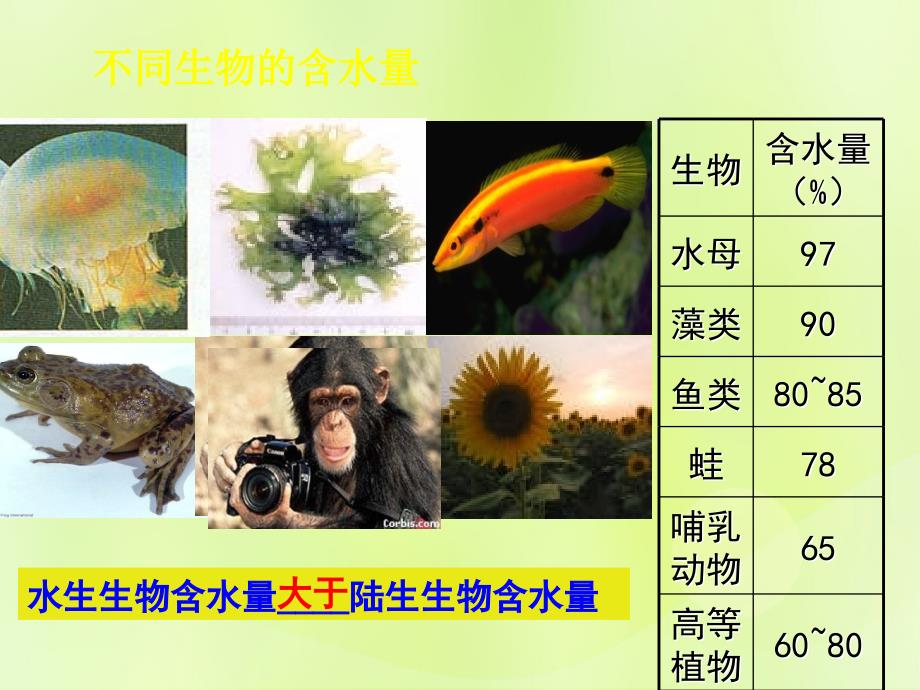 高中生物专题2.5细胞中的无机物课件新人教版必修1_第2页