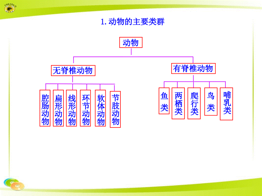 人教版八上生物知识框架_第1页