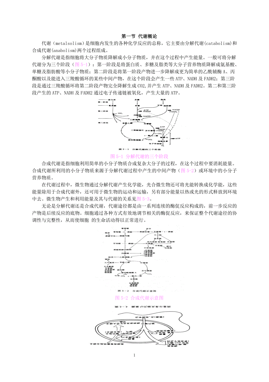 资料：微生物学教案：第五章 微生物代谢_第1页