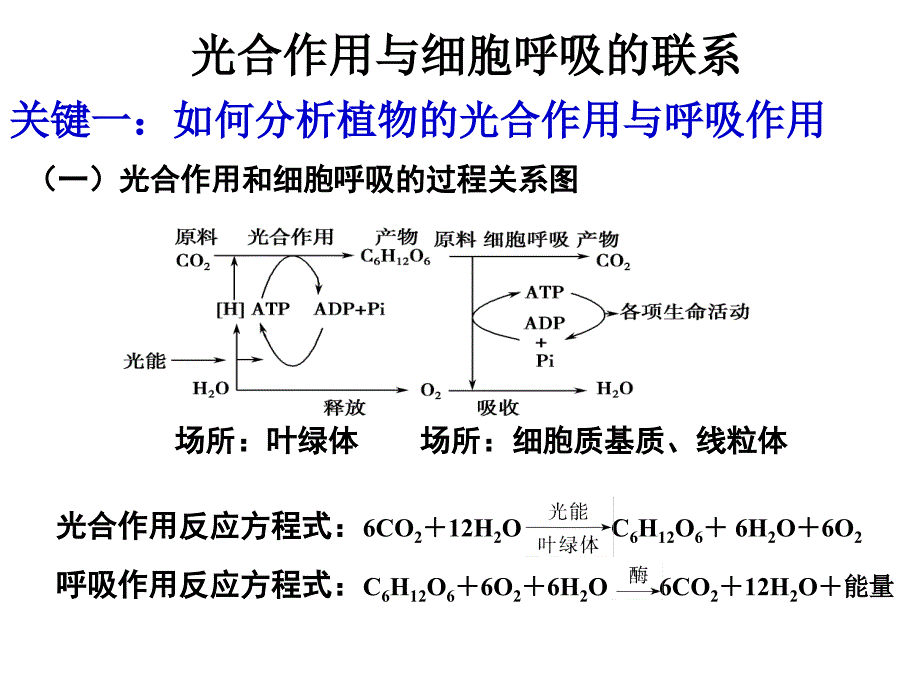 光合作用与细胞呼吸的关系.ppt_第3页