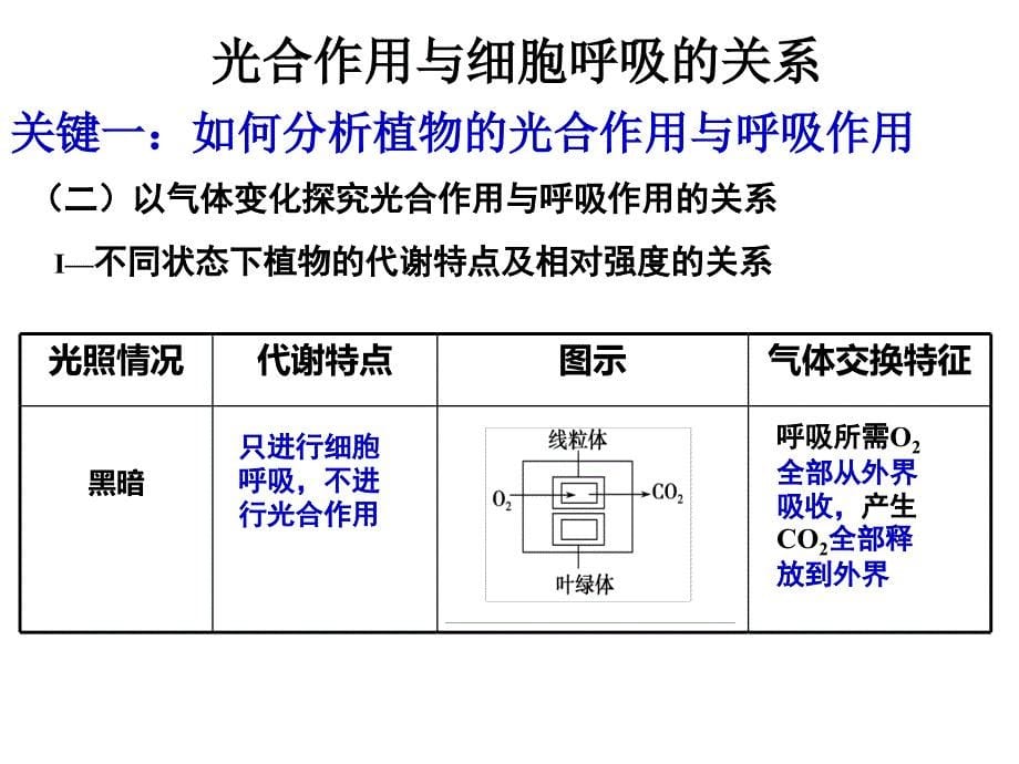 光合作用与细胞呼吸的关系.ppt_第5页