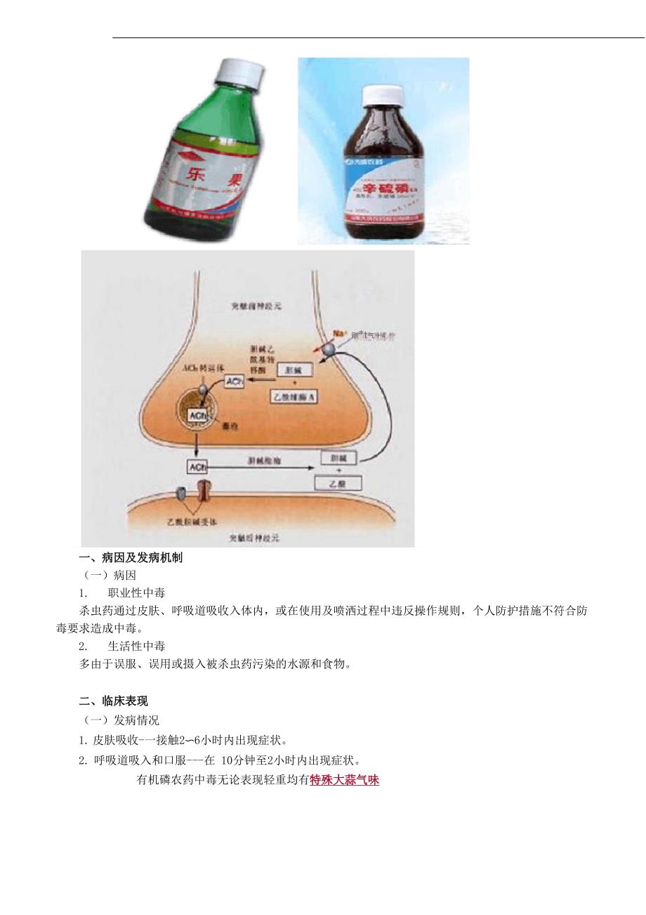 内科护理学_第4页