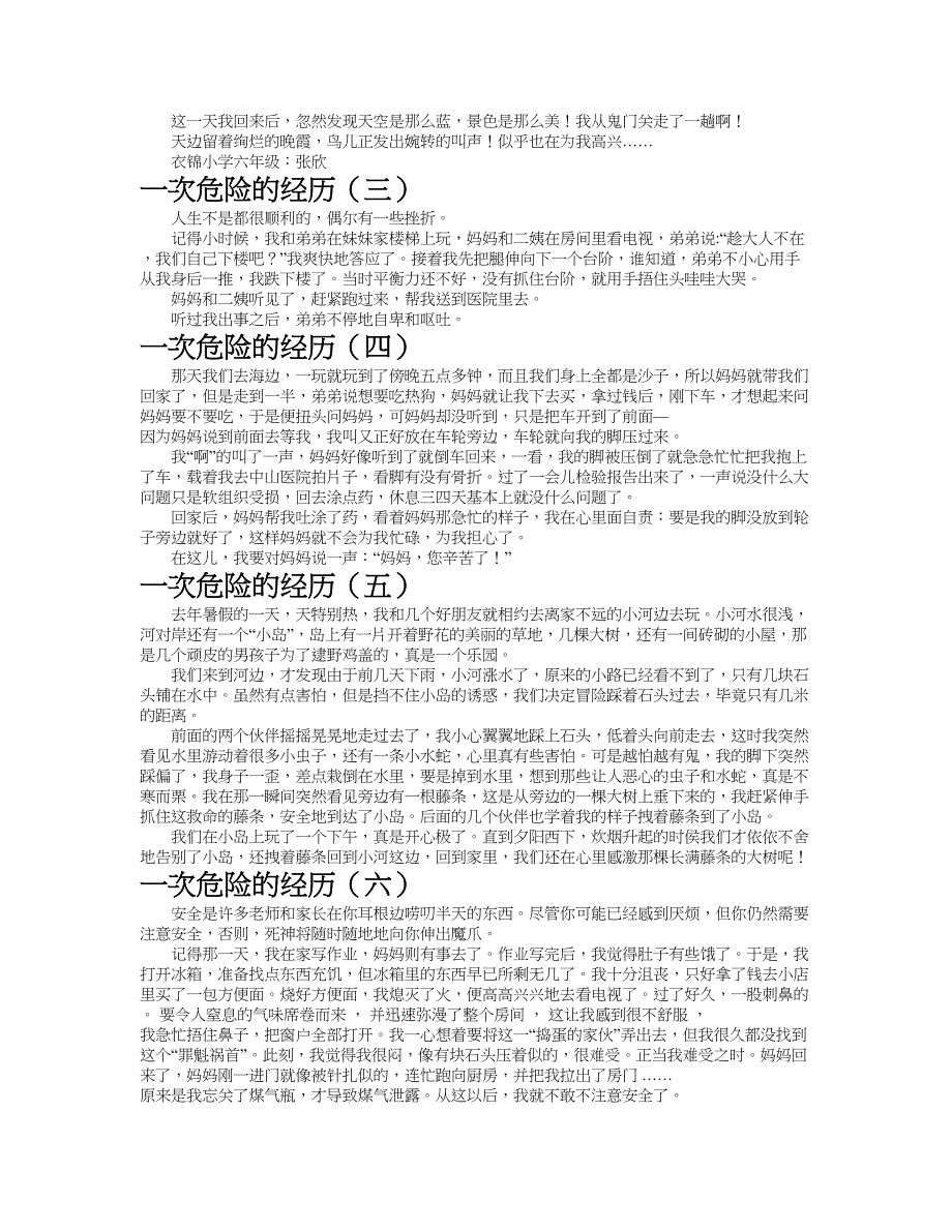 一次危险的经历作文共九篇.doc_第2页