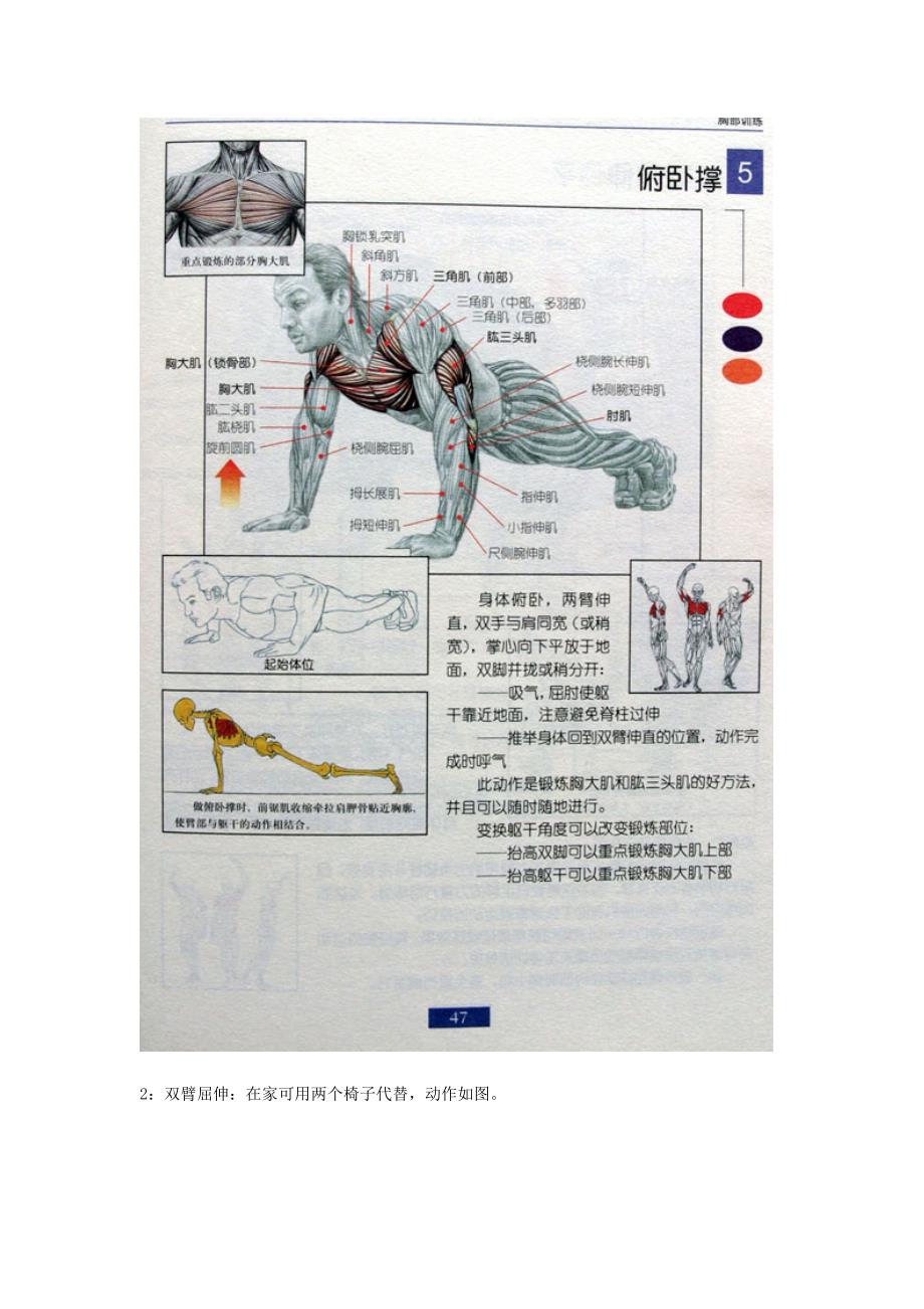 全身肌肉健身计划_第2页