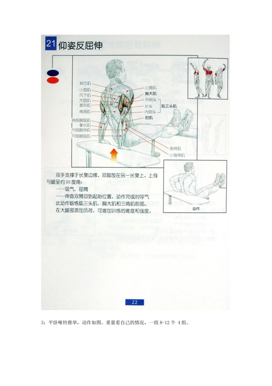 全身肌肉健身计划_第3页