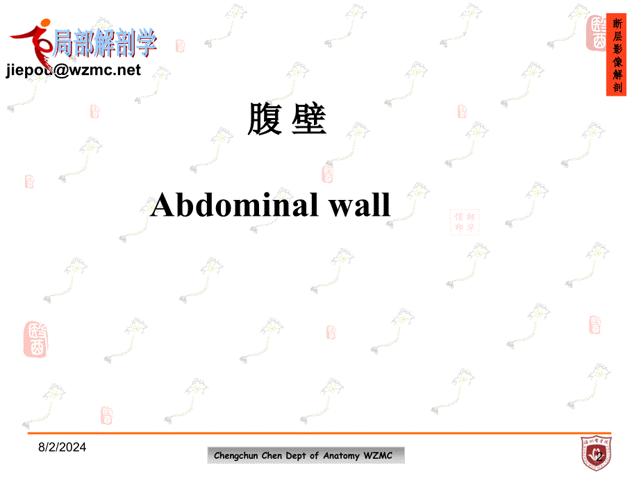 《局部解剖学》教学课件：腹壁_第2页