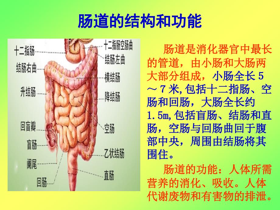 3肠道疾病的防治_第2页