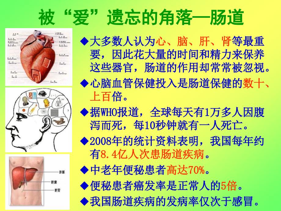 3肠道疾病的防治_第4页