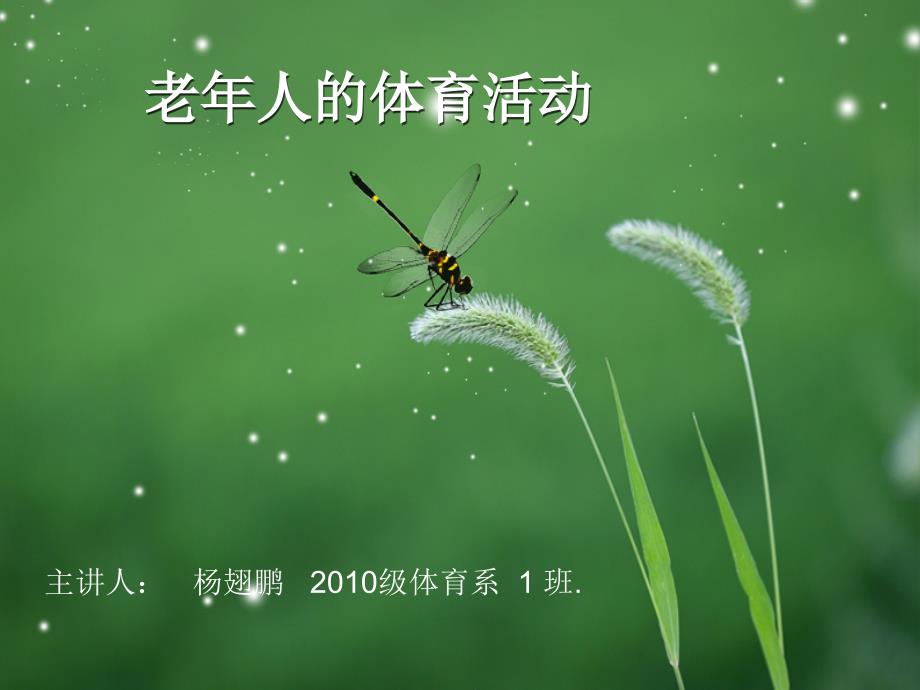 老年人的体育活动完整.ppt_第1页