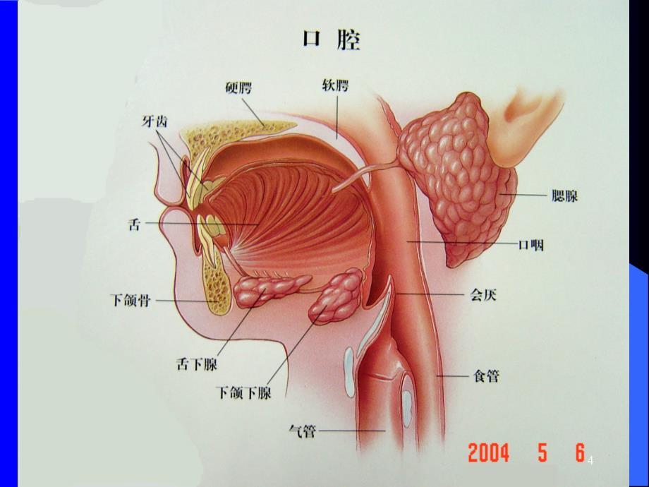 上消化道出血诊治原则_第4页