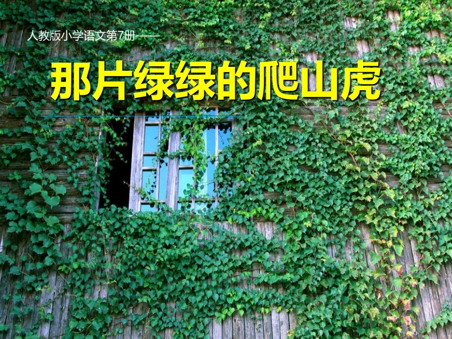 人教版语文四年级上册《25那片绿绿的爬山虎》.ppt_第1页