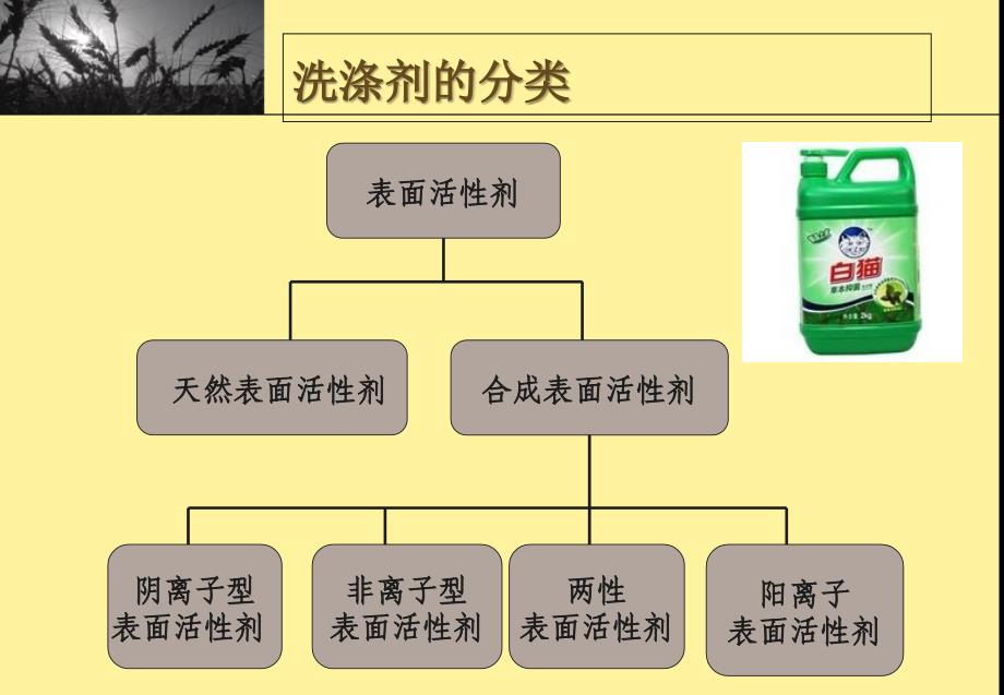 《洗涤剂原料的认识》PPT课件_第3页