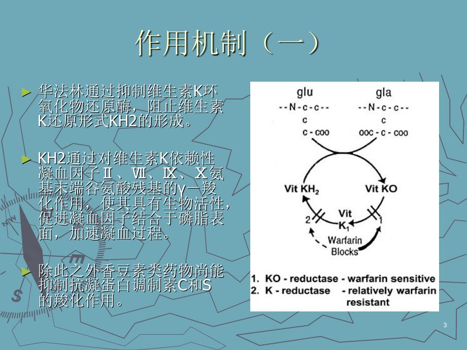 华法令治疗指南2003_第3页