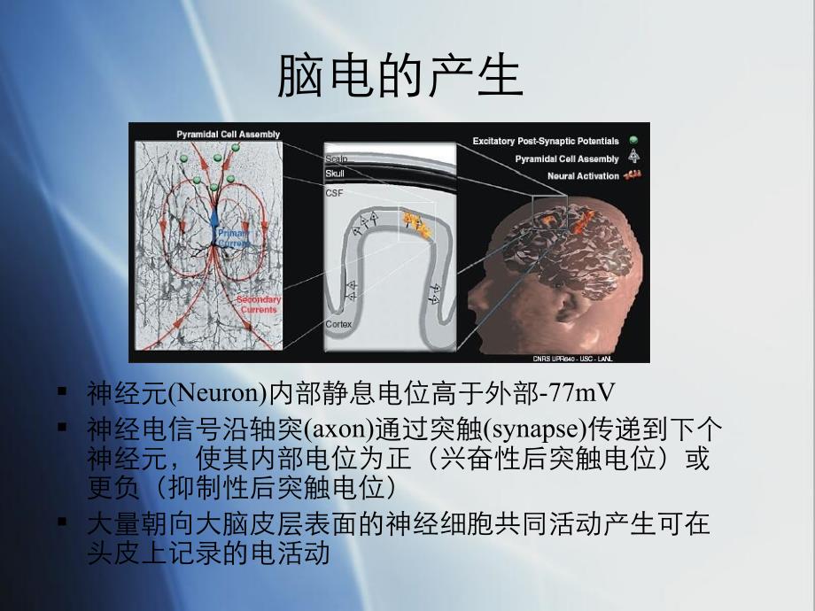 ERP技术原理及应用课件_第2页